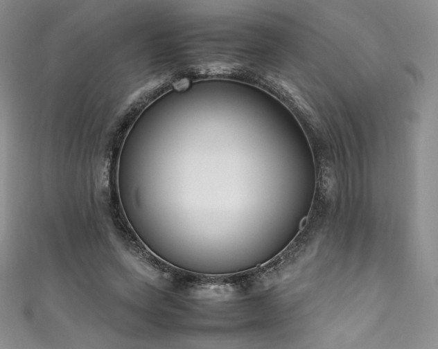 X0000111530543200907141530