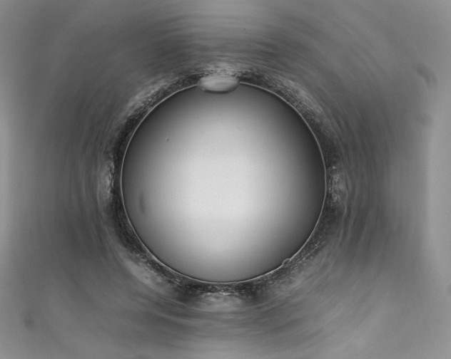 X0000111530544200907141530