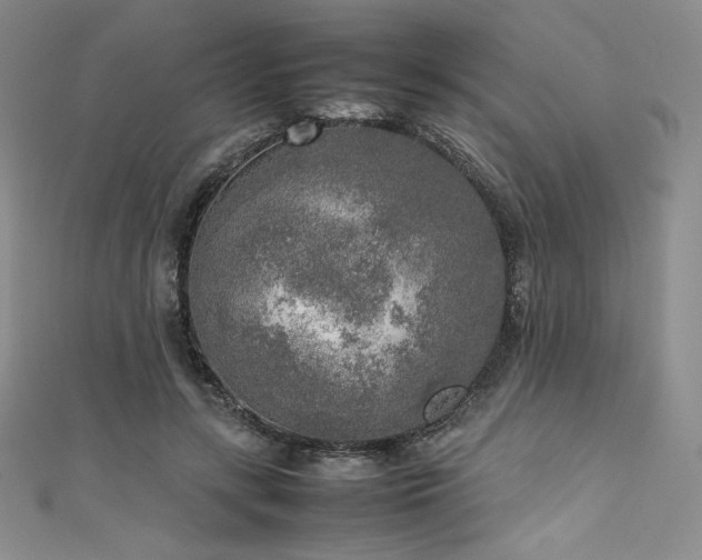 X0000111530547200907141530