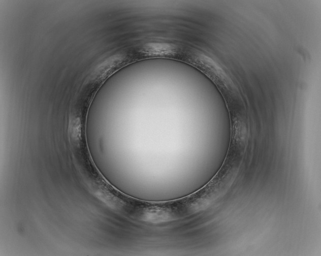 X0000111530549200907141530