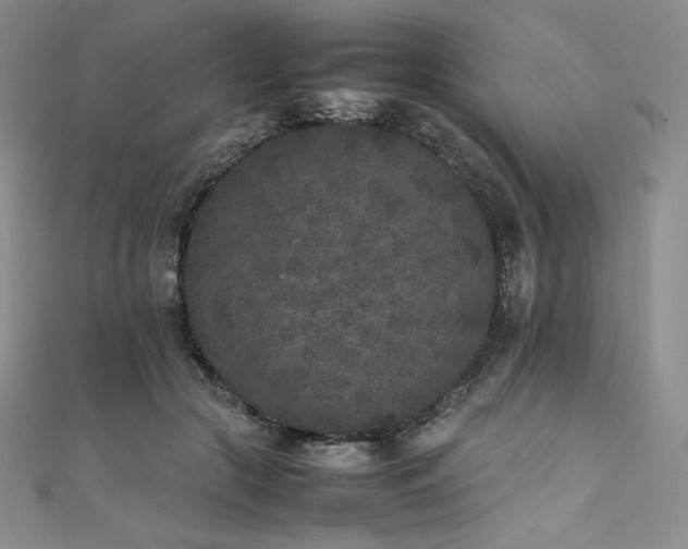 X0000111530553200907141530