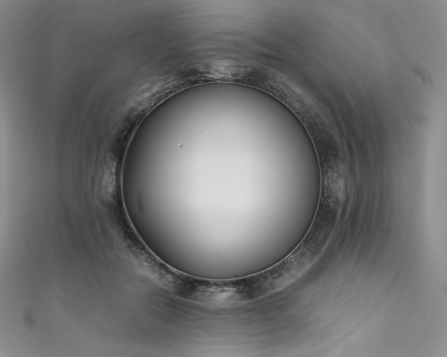 X0000111530554200907141530