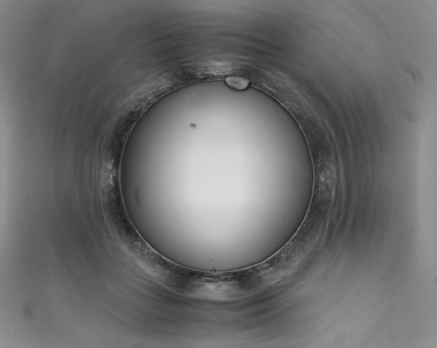 X0000111530555200907141530