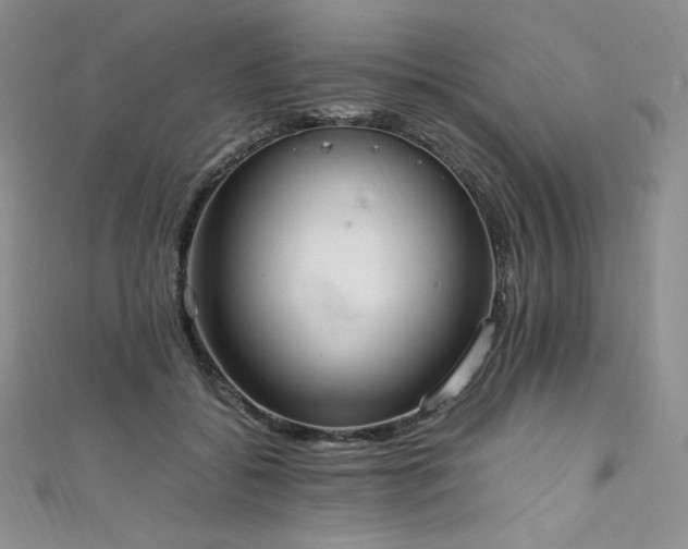 X0000111530556200907141530