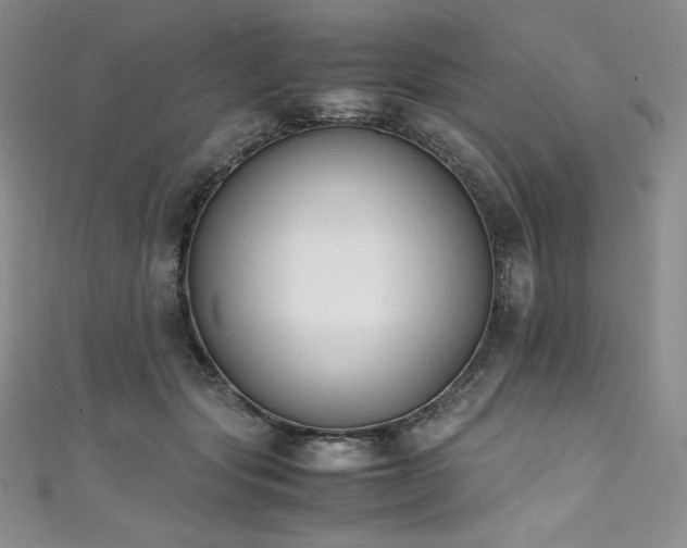 X0000111530557200907141530