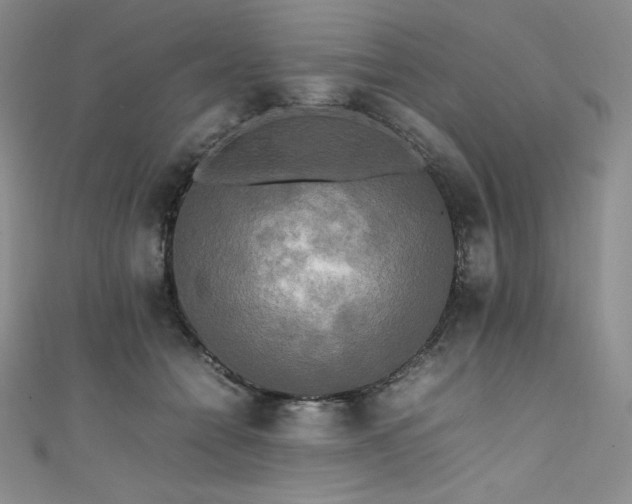 X0000111530558200907141530