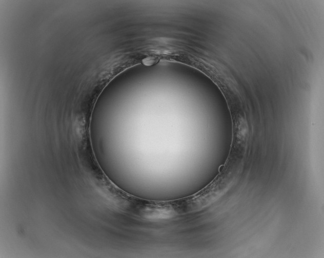 X0000111530559200907141530