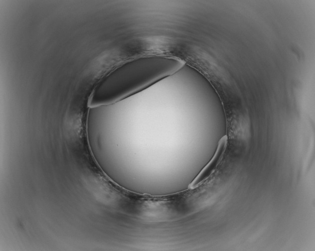 X0000111530560200907141530