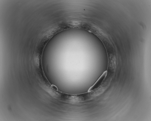 X0000111530562200907141530