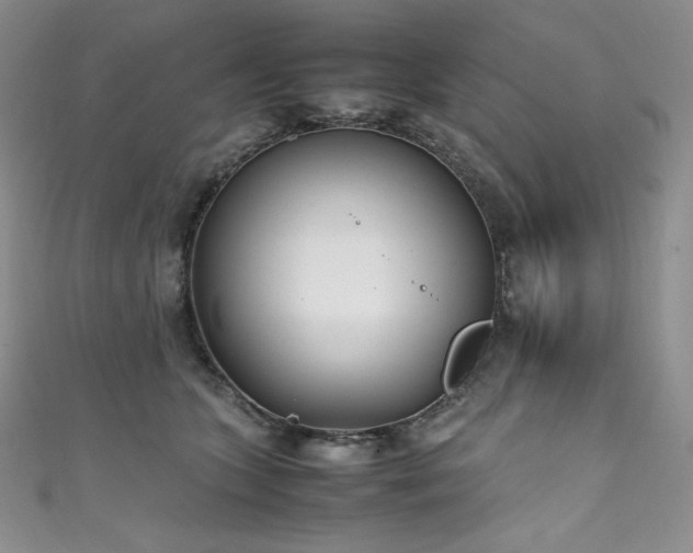 X0000111530563200907141530