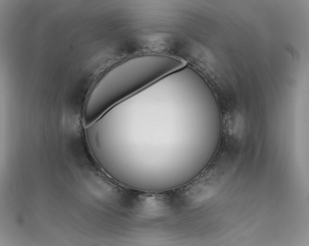 X0000111530564200907141530