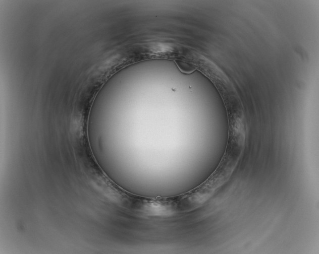 X0000111530565200907141530