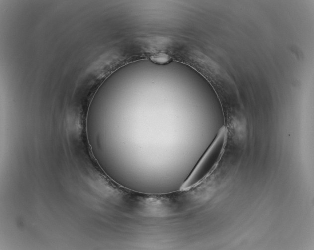 X0000111530566200907141530