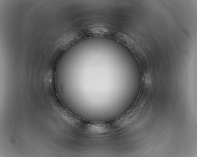 X0000111530567200907141530