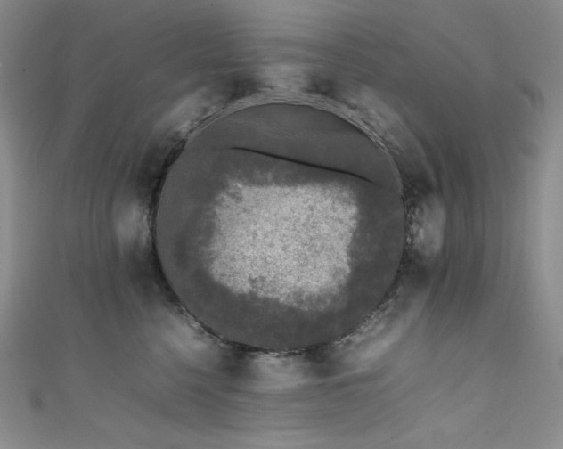 X0000111530568200907141530