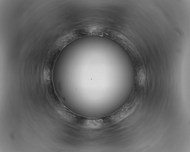 X0000111530571200907141530