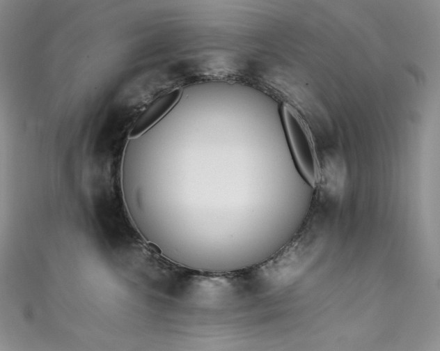 X0000111530572200907141530