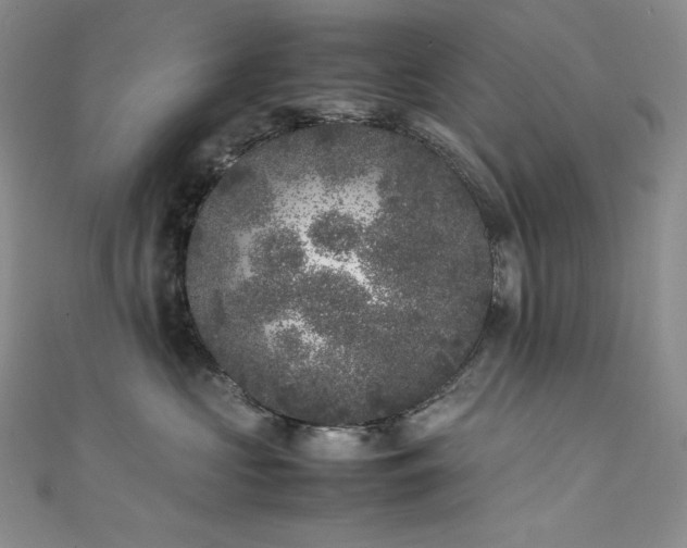 X0000111530573200907141530