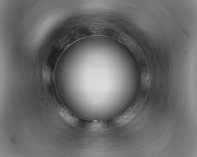 X0000111530574200907141530