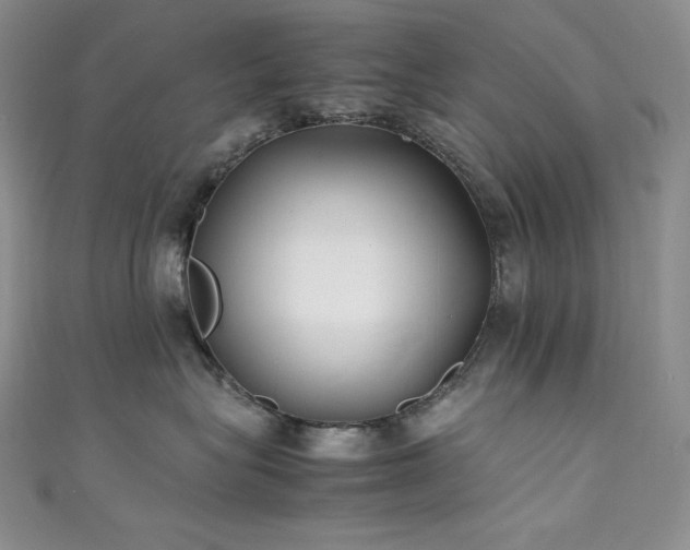 X0000111530575200907141530