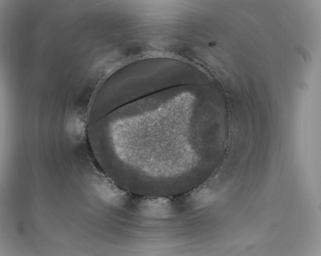 X0000111530576200907141530