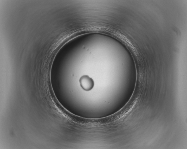 X0000111530577200907141530