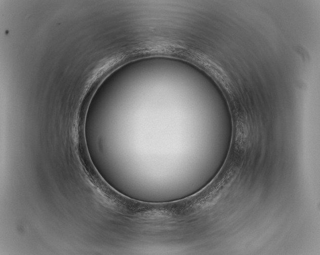 X0000111530578200907141530