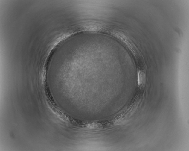 X0000111530579200907141530