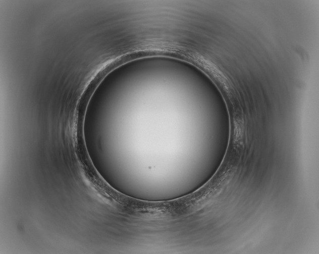 X0000111530580200907141530