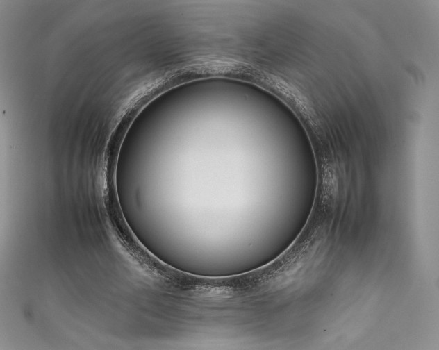 X0000111530582200907141530