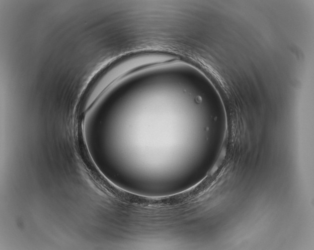 X0000111530584200907141530