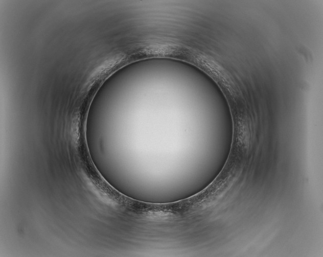 X0000111530586200907141530