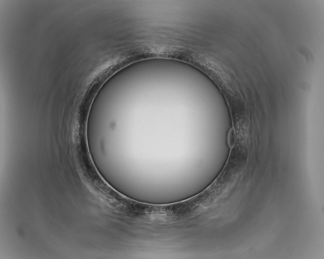 X0000111530587200907141530