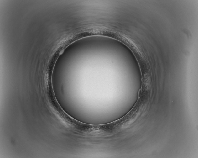 X0000111530589200907141530