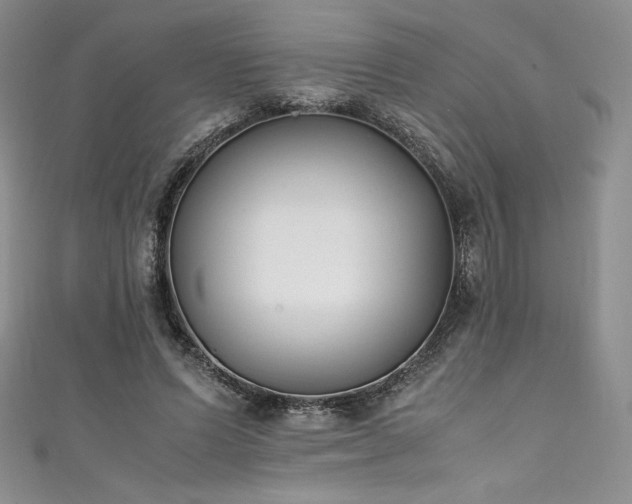 X0000111530591200907141530