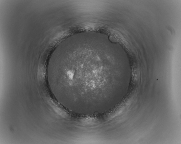 X0000111530593200907141530