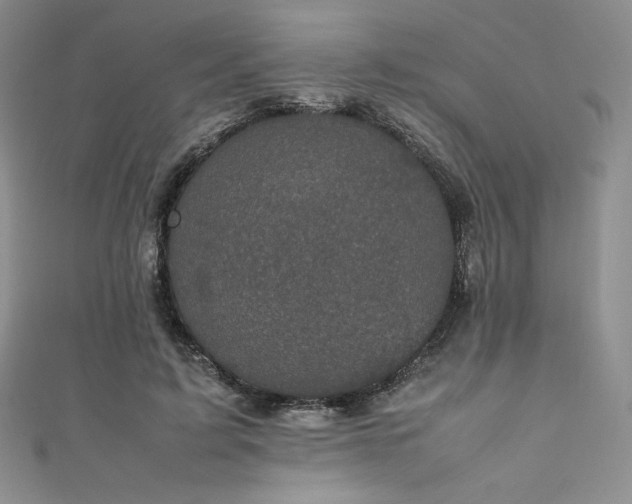 X0000111530595200907141530