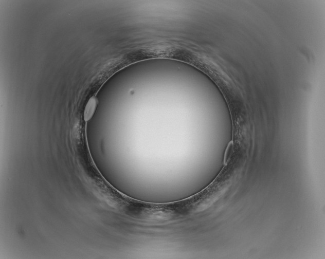 X0000111530597200907141530