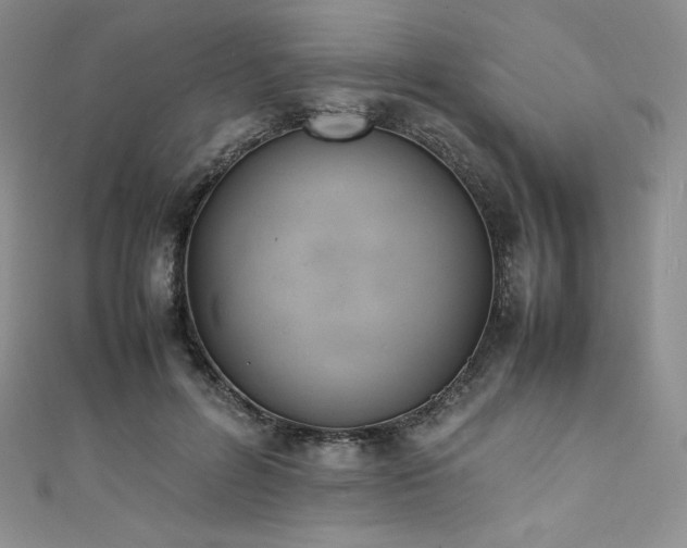 X0000111530600200907141529