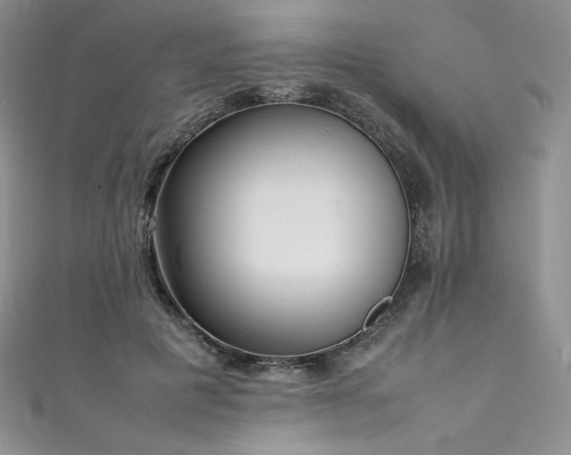 X0000111530601200907141529