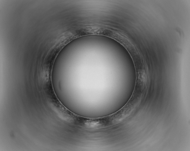 X0000111530602200907141529