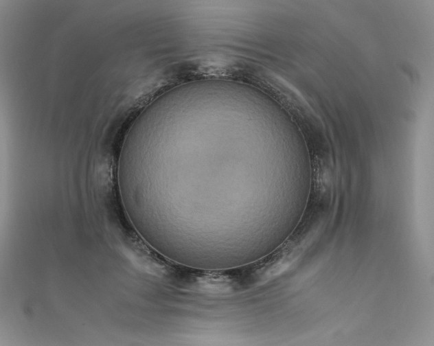 X0000111530603200907141529