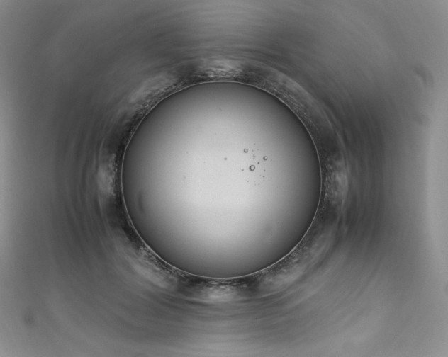 X0000111530604200907141529