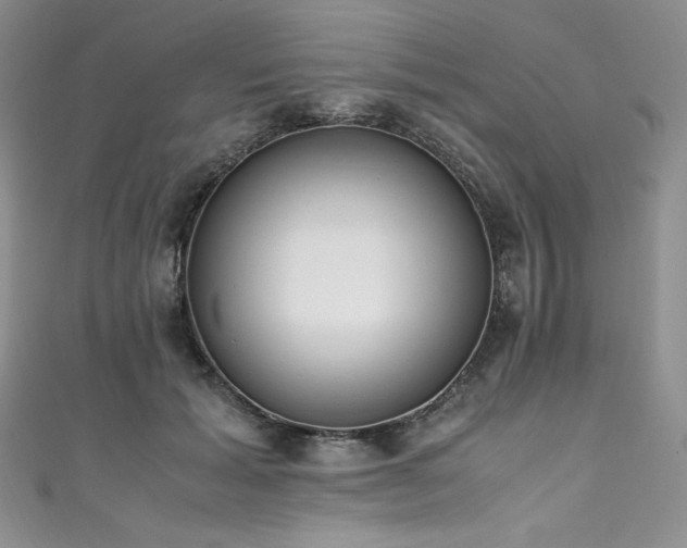 X0000111530605200907141529