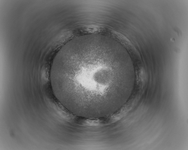 X0000111530606200907141529