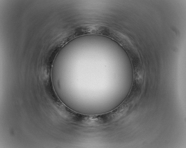 X0000111530607200907141529