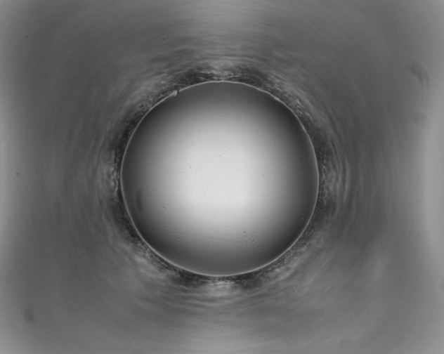 X0000111530609200907141529