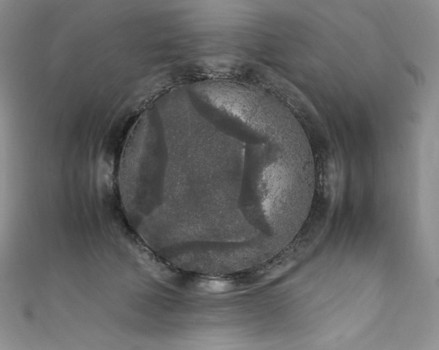 X0000111530610200907141529