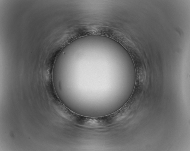 X0000111530611200907141529