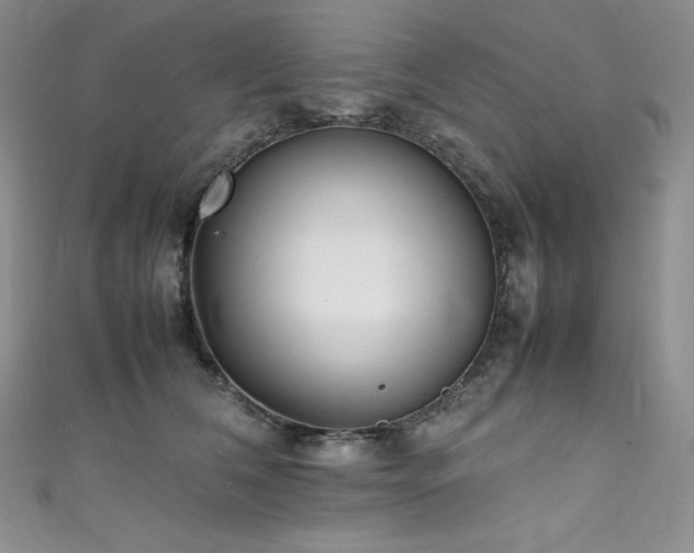 X0000111530612200907141529